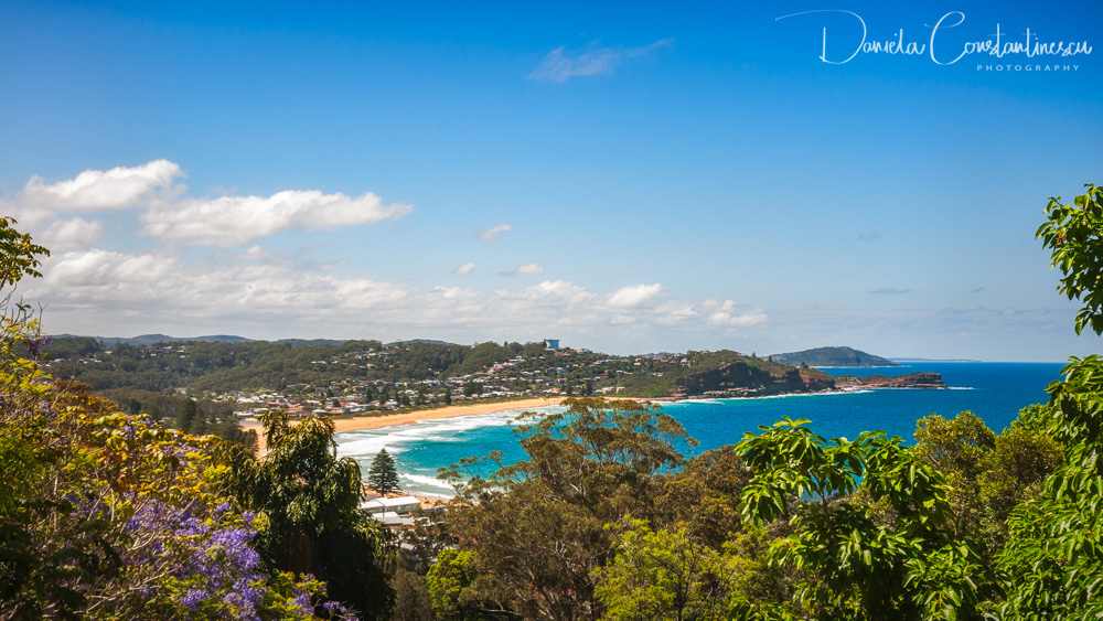 Avoca Beach Australia